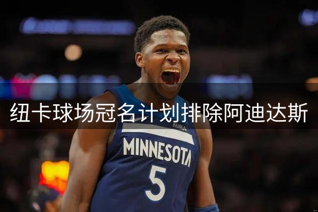 纽卡球场冠名计划排除阿迪达斯
